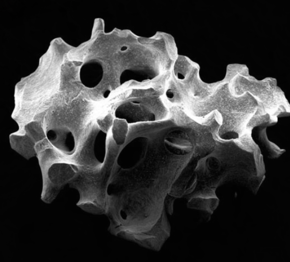 Bone Grafting Material - Microscopic Structure